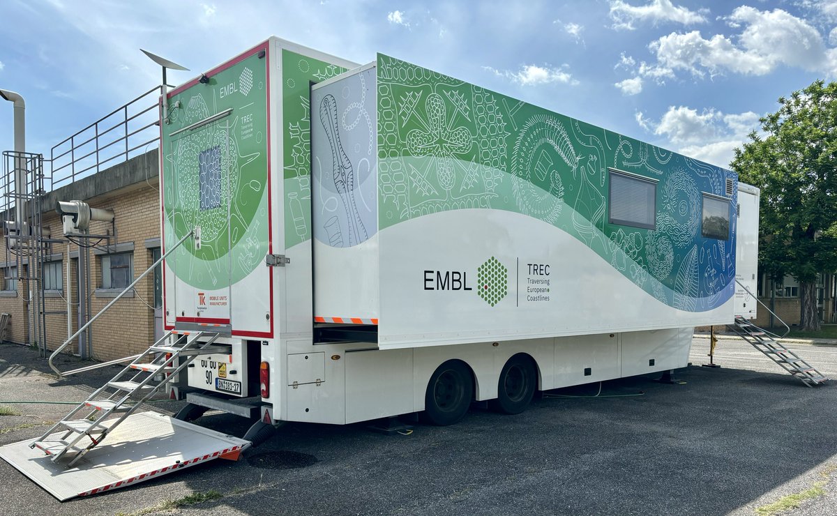 Stefano Amalfitano tweet media