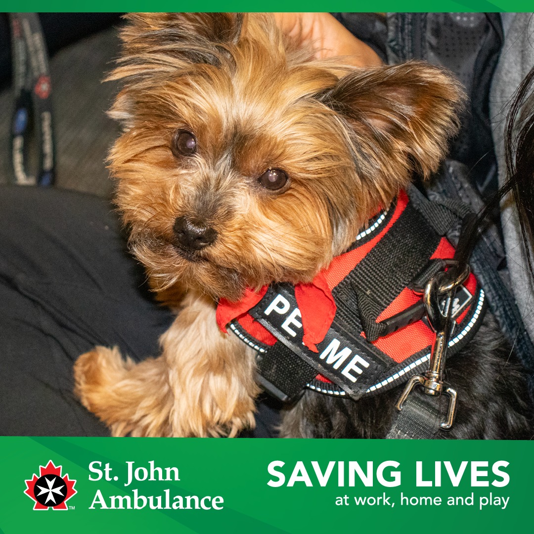 By attending our First Aid Classes, donating to us directly or simply engaging with us on social media, you allow us at SJA to further enhance our community services, increase our reach and make visits paw-sible! Register to a class today at sja.ca/en/mb