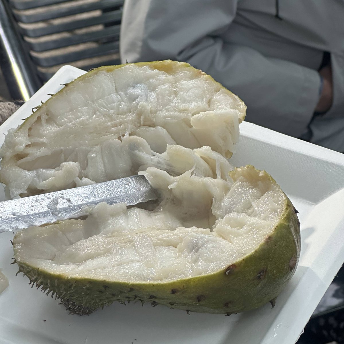 Calgary Zoo tweet media