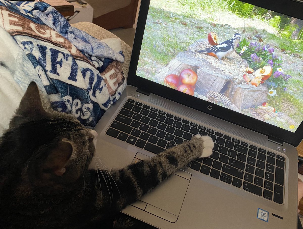 So much to do, even online.