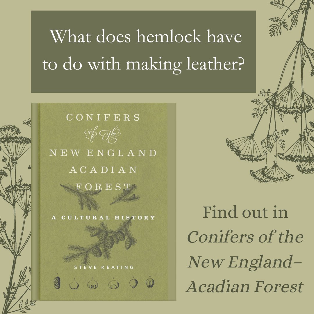 In the ecoregion explored in Keating’s book, spruces, firs, and cedars of the northern boreal forest mix with hemlocks and pines of more temperate climates. Order your copy today ow.ly/poyq50QKQF9 #mustread #microbiology #newengland