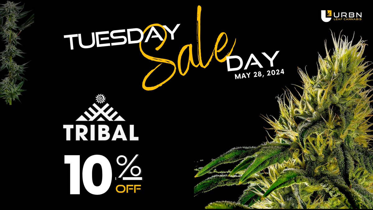 URBNLeafCC's tweet image. 🚨 ATTENTION SHOPAHOLICS 🚨 Tuesday just got a whole lot better with our Tribal sale! Time to treat yo'self without breaking the bank 💰 #TuesdayTreats #SaleFever #ByeByePaycheck 😜