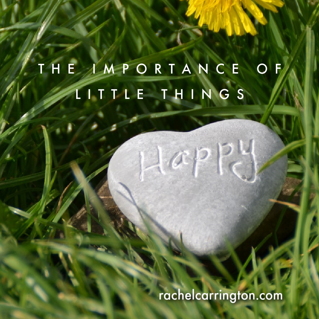 This one thing I do every day has helped me more than anything else. rachelcarrington.com/rachelblog/the…

#littlethings #gratitude #beingthankful #beinggrateful #countyourblessings #blessings