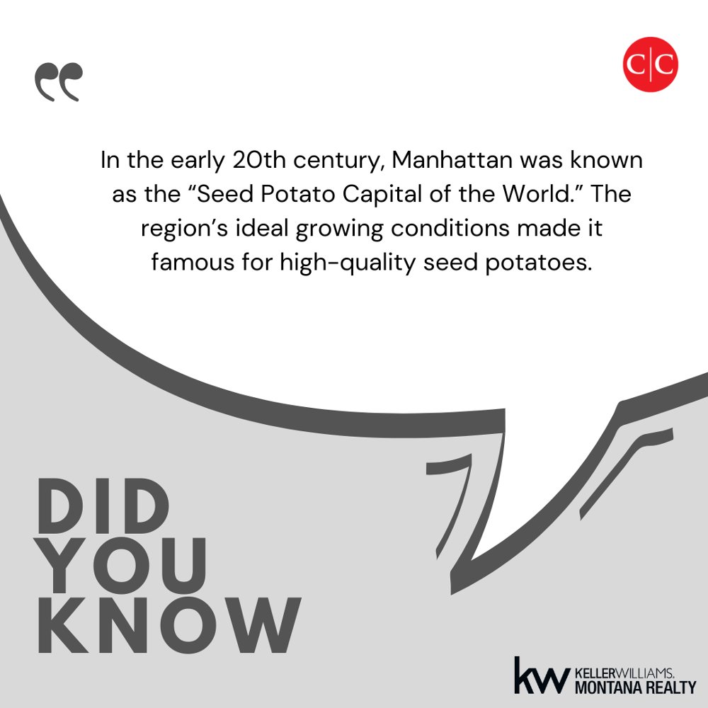 Once known as the “Seed Potato Capital of the World,” Manhattan's farming legacy is legendary! 🥔🌍 

#potatocapital #manhattanfunfact #didyouknow #farming #gallatinvalley #montanaagriculture #treasurestate #montanaliving #discovermontana