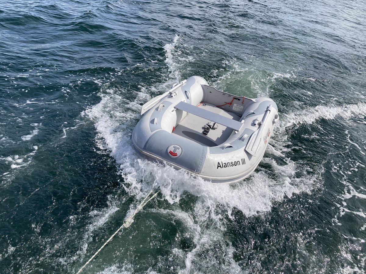 Alex Hibbert tweet media