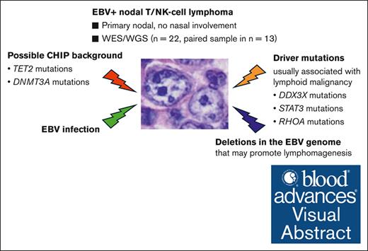 Extensive genetic analysis of EBV+ nPTCL revealed frequent TET2 and DNMT3A mutations with a possible association with clonal hematopoiesis. ow.ly/7tSb50RGjPV #lymphoidneoplasia #hematopoiesisandstemcells