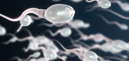 Un anticonceptivo masculino reversible desactiva los espermatozoides.

omniprex.com/un-anticoncept…