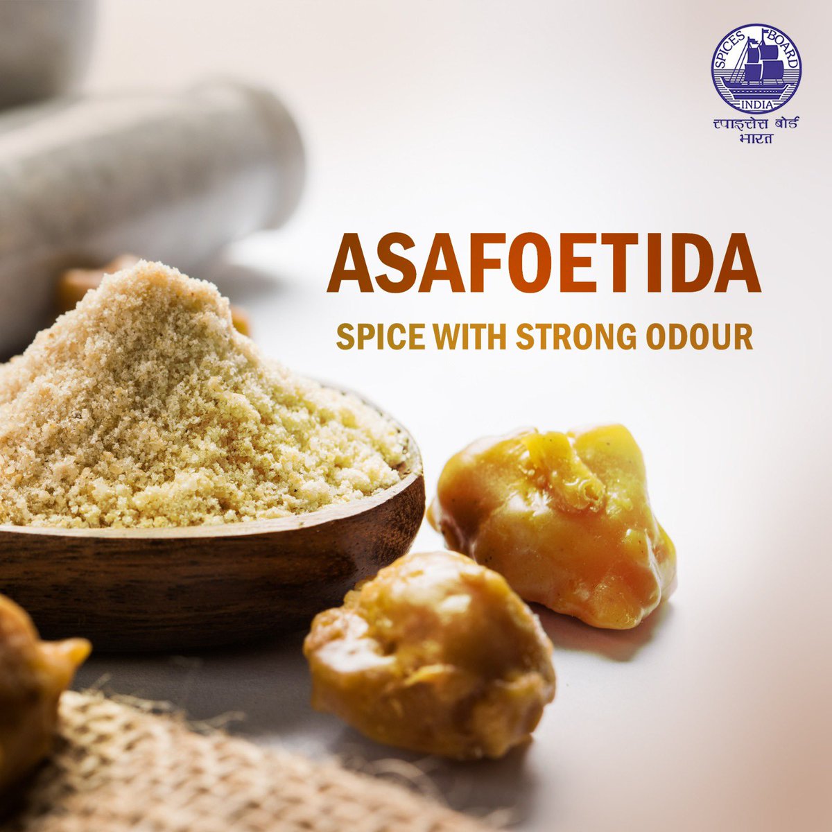 This spice is an ultimate flavor enhancer with the strongest odour @doc_goi #spicesboard #asafoetida #incrediblespicesofindia