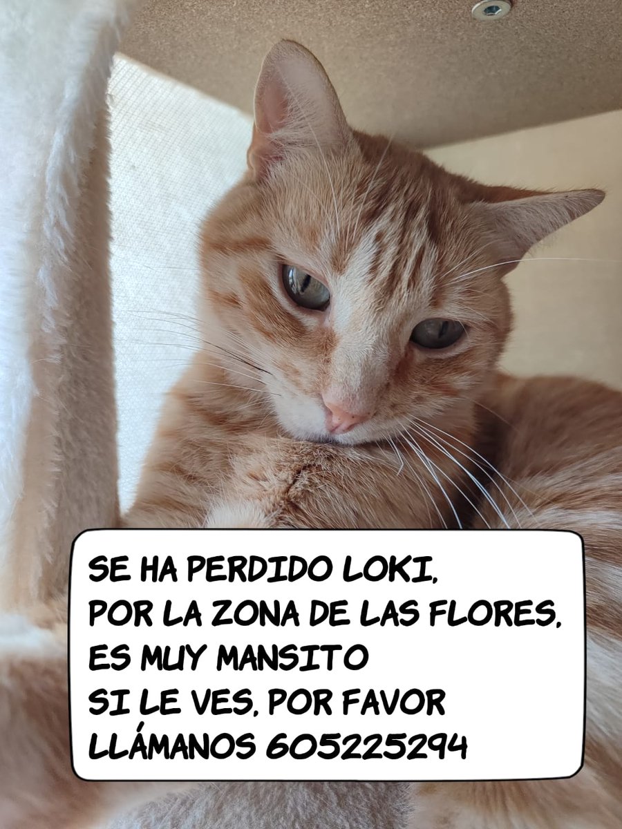 VanZandarius's tweet photo. @Hardcorcon necesitamos un poquito de ayuda con esto: https://t.co/KGjV53Vwh4