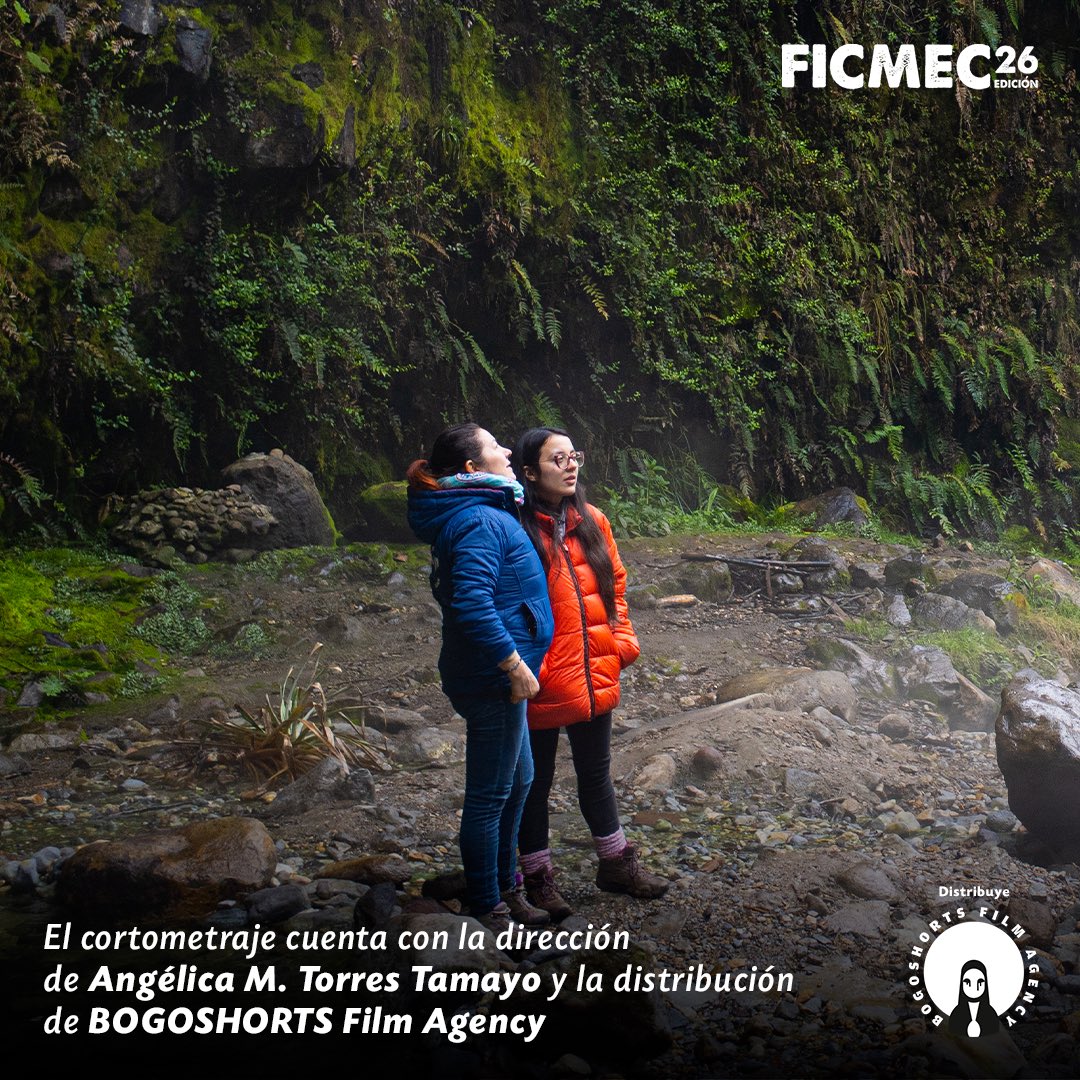 Festival de Cortos de Bogotá - BOGOSHORTS tweet media