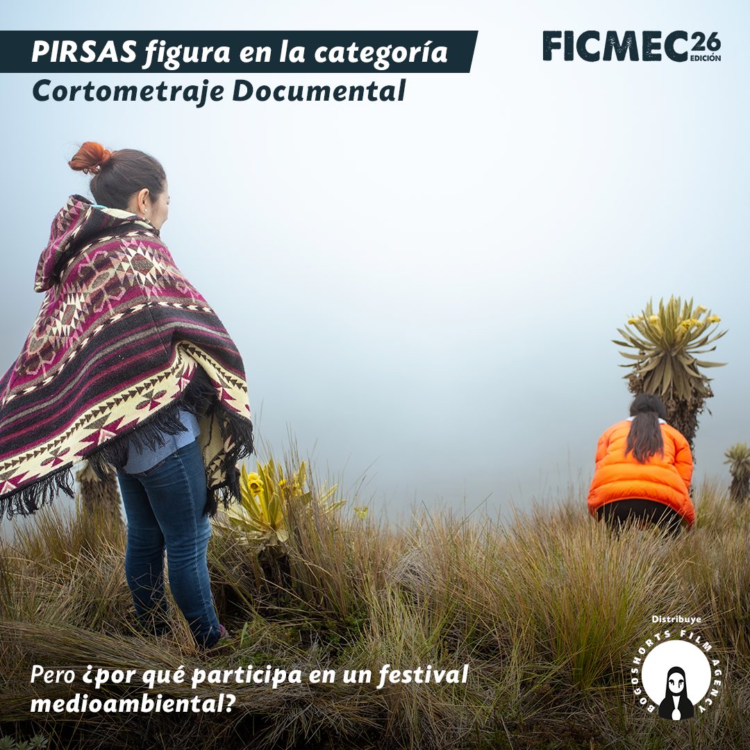 Festival de Cortos de Bogotá - BOGOSHORTS tweet media