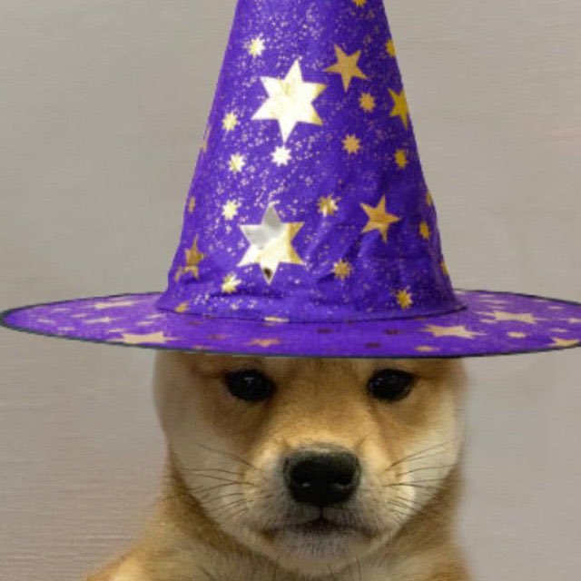 IWickens30403's tweet photo. @cryptoskullx @doggwizhat says morning from here 

Presale is live right now don’t miss out 🔥

$WIZ #WIZtotheMoon #Presale https://t.co/qVZSTADB9M