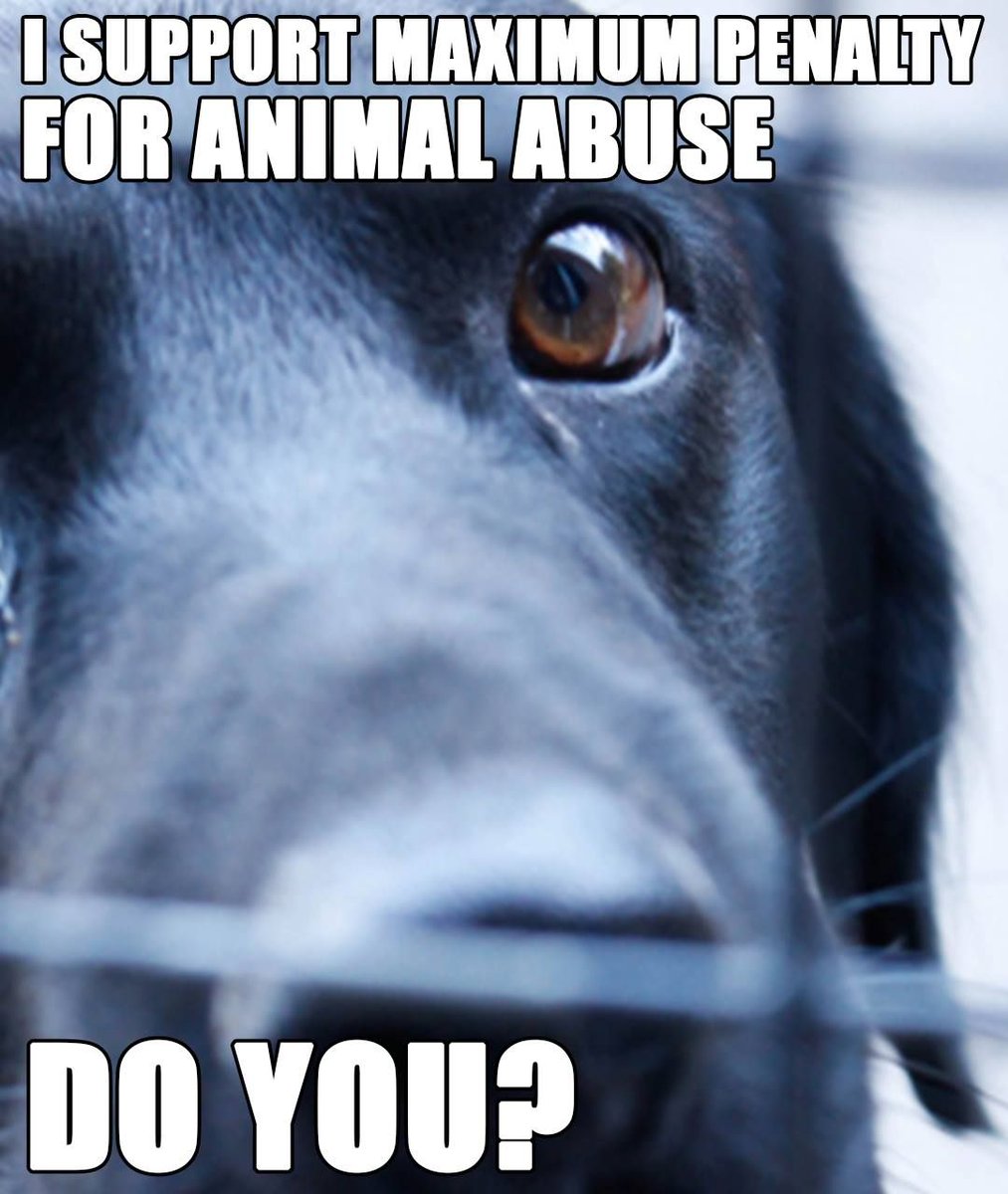 Mr. Bolhofner tweet media