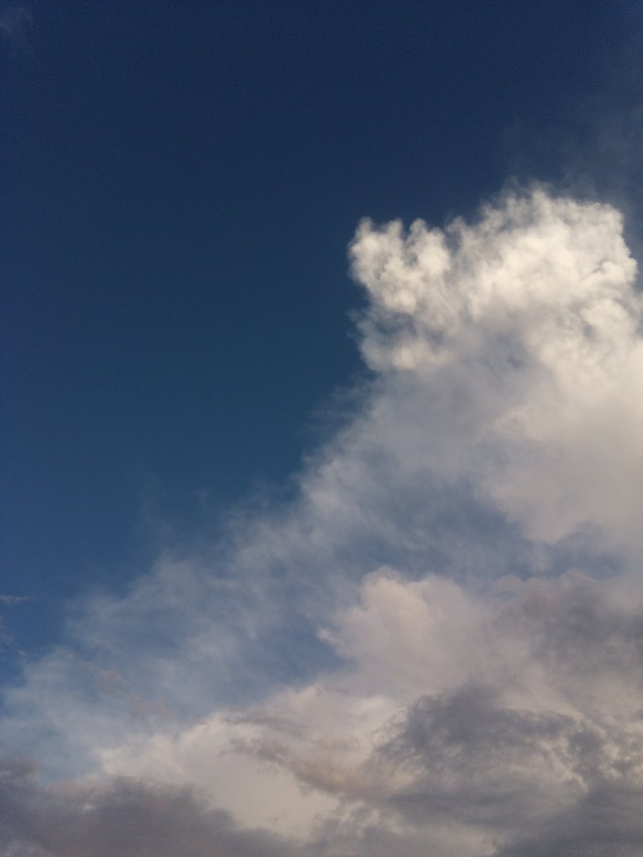 🌼 uno was here tweet media