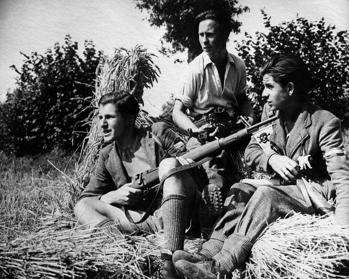 Aux Résistants, aux Maquisards, aux Partisans, hommage de la Nation. En cette journée nationale de la Résistance, la France se souvient que la liberté se paie au prix du sang versé, que nos valeurs ne sont jamais acquises et qu'elles doivent être toujours défendues.