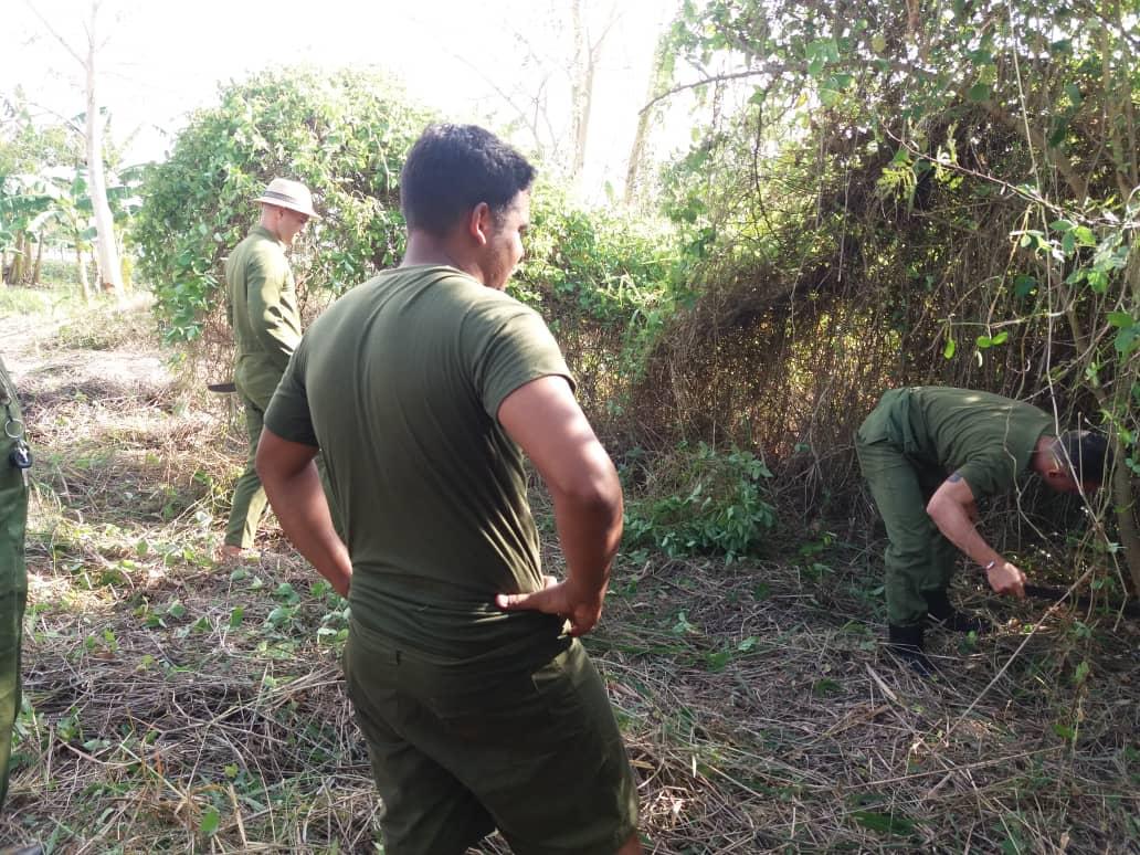 Si el hombre sirve, la tierra sirve. Los militares villaclareños inmersos en la producción de alimentos #GenteQueSuma #Cuba