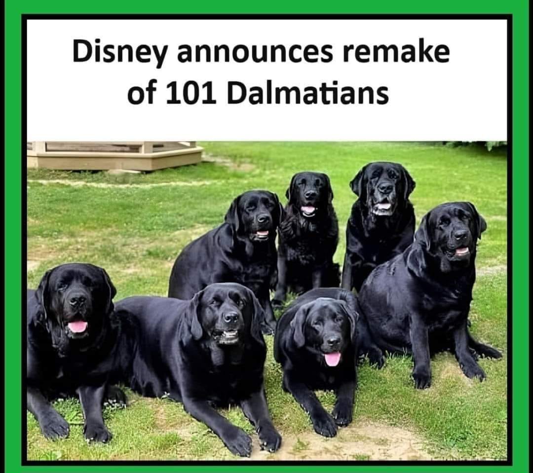 Kerry H (@thesecondinline) on Twitter photo 