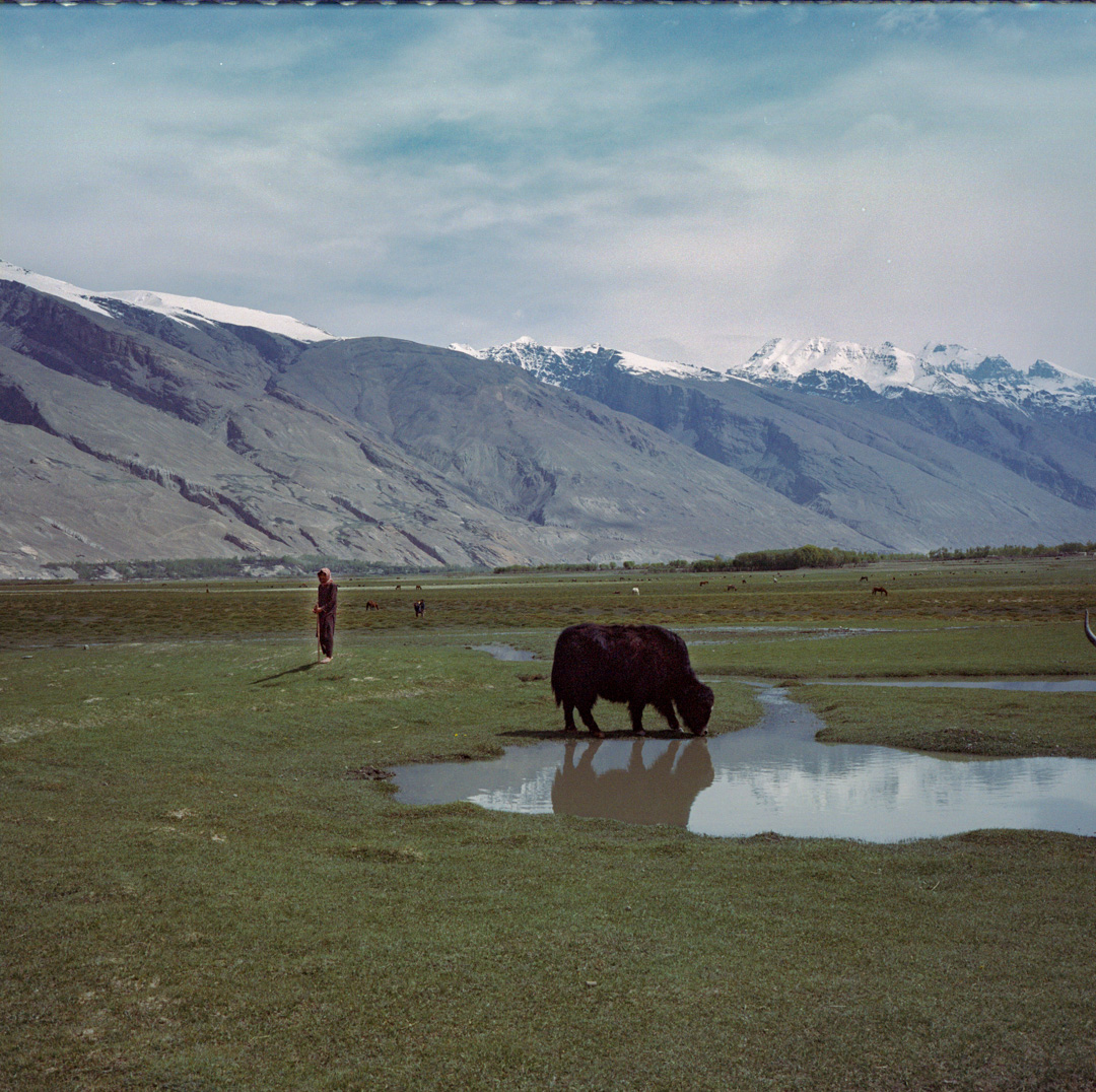 melissacornet_'s tweet photo. A day in Wakhan, Badakhshan, earlier this month. #Afghanistan https://t.co/mzVAjVjMJb