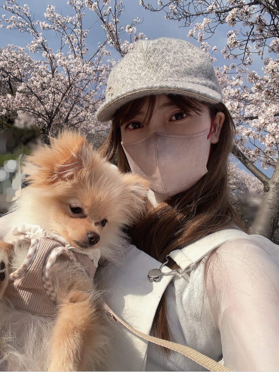 犬可愛い🐶メンバーたちがどうして反対したのかは分からないけど飼っていていいね #akihoblog