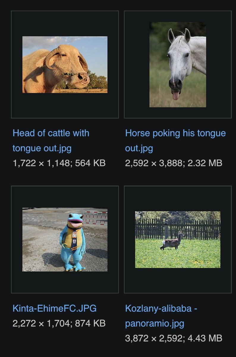 this is why i donate