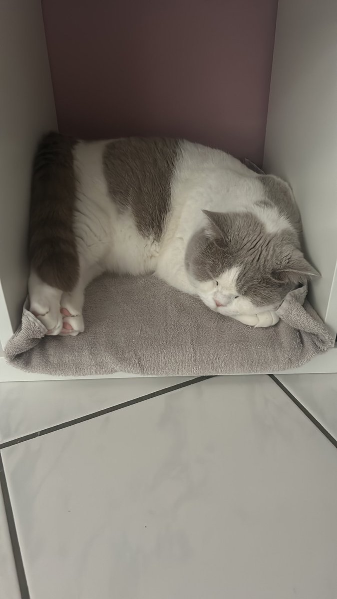 trilivTV's tweet photo. Hier mal was anderes für eure TL 🌝 https://t.co/IRgfJ8q7CE
