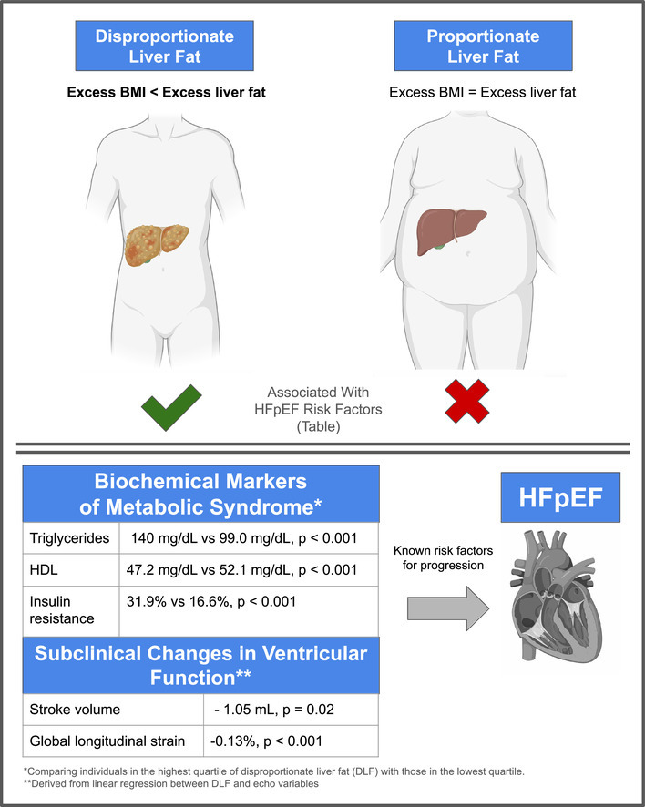 Fatty Liver Disease or MASLD are an Epidemic. Does MASLD always track with BMI? No! 
We introduce the concept of disproportionate liver fat (DLF). Liver fat in excess of BMI
doi.org/10.1016/j.ahj.…

@AlainBertoni @ErinMichos @Ambarishpandey @HFpEF @RBPatelMD Jon Kusner