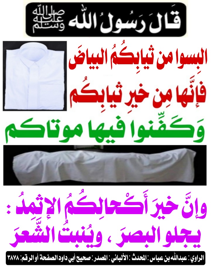 فارس التوحيد (@sami16715825) on Twitter photo 