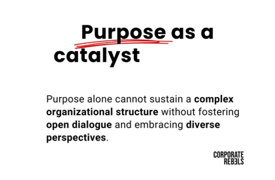 As leaders, we are told to 'start with why' because purpose is critical: if we create & commit to a profound purpose, a whole host of engagement, performance & outcome benefits will result. However, purpose isn't enough. People constantly engage in meaning-making at work &