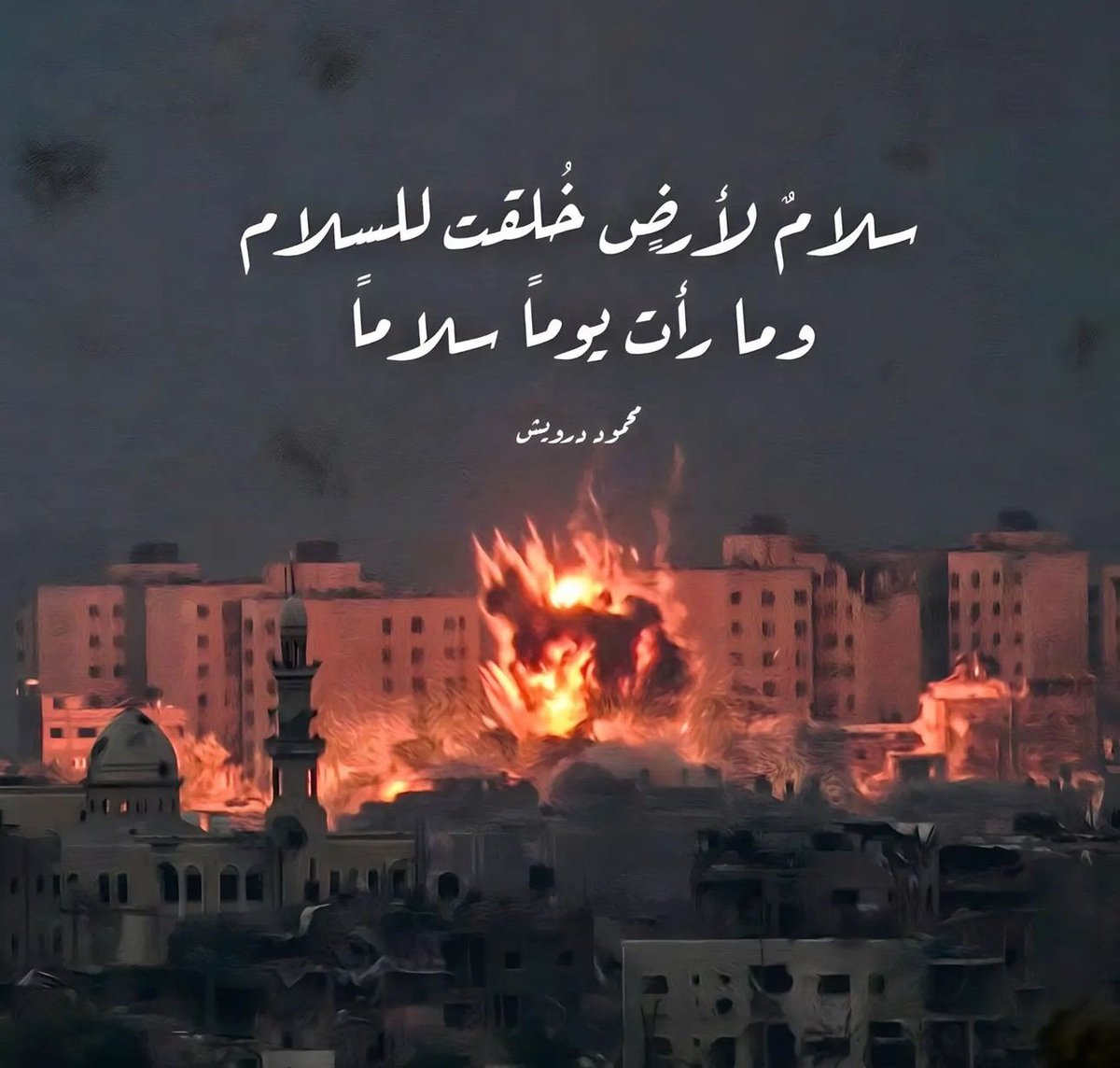 يا حبيبتي يا غزَّة.