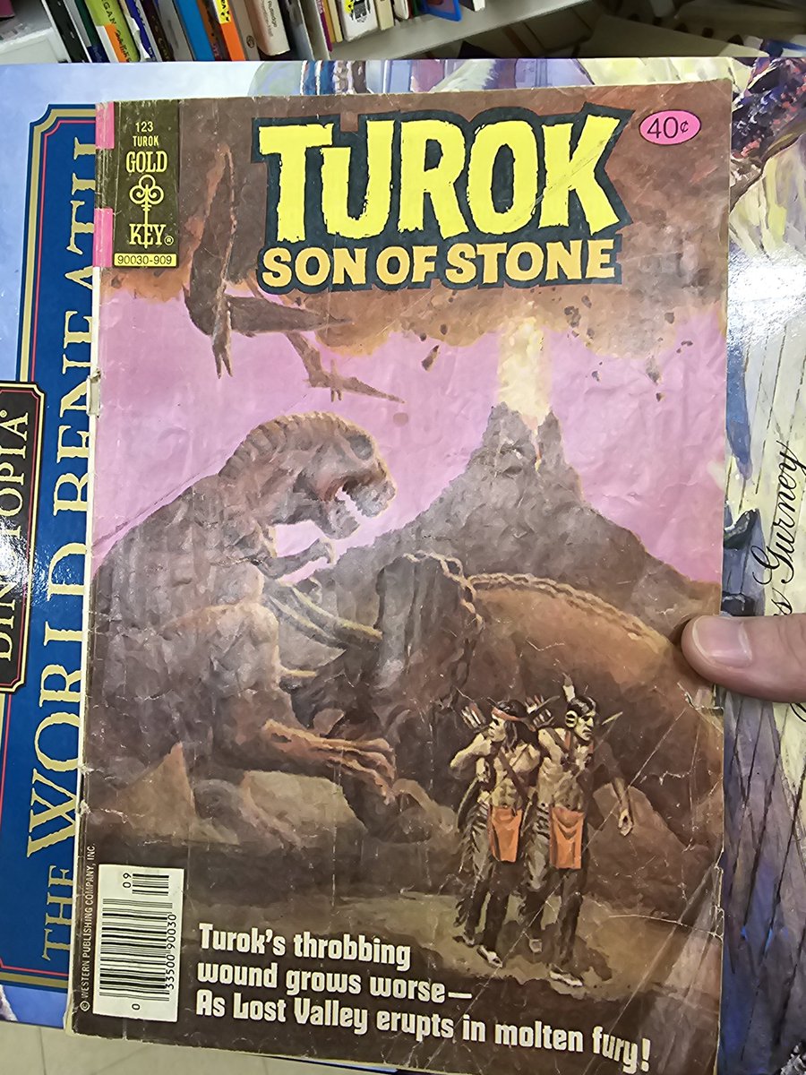 Any day I find vintage Turok at Value Village could be considered a good day.
