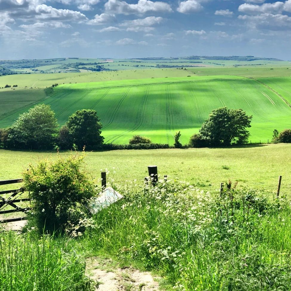 The month of May is National Walking month. Why not walk our way? Our brewery is a stones throw from the South Downs, with gorgeous views and outstanding countryside, and there are many accessible walking (and wheeling) routes on our doorstep. #nationalwalkingweek