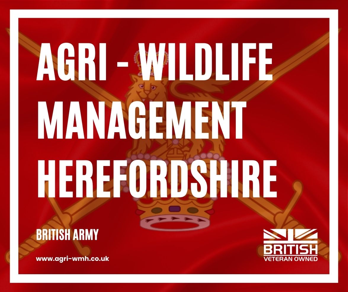 🌟 Spotlight on Agri - Wildlife Management Herefordshire , founded by a British Army veteran! Dive into excellence and support #BritishVeteranOwned businesses. 🇬🇧✨

🔗 agri-wmh.co.uk