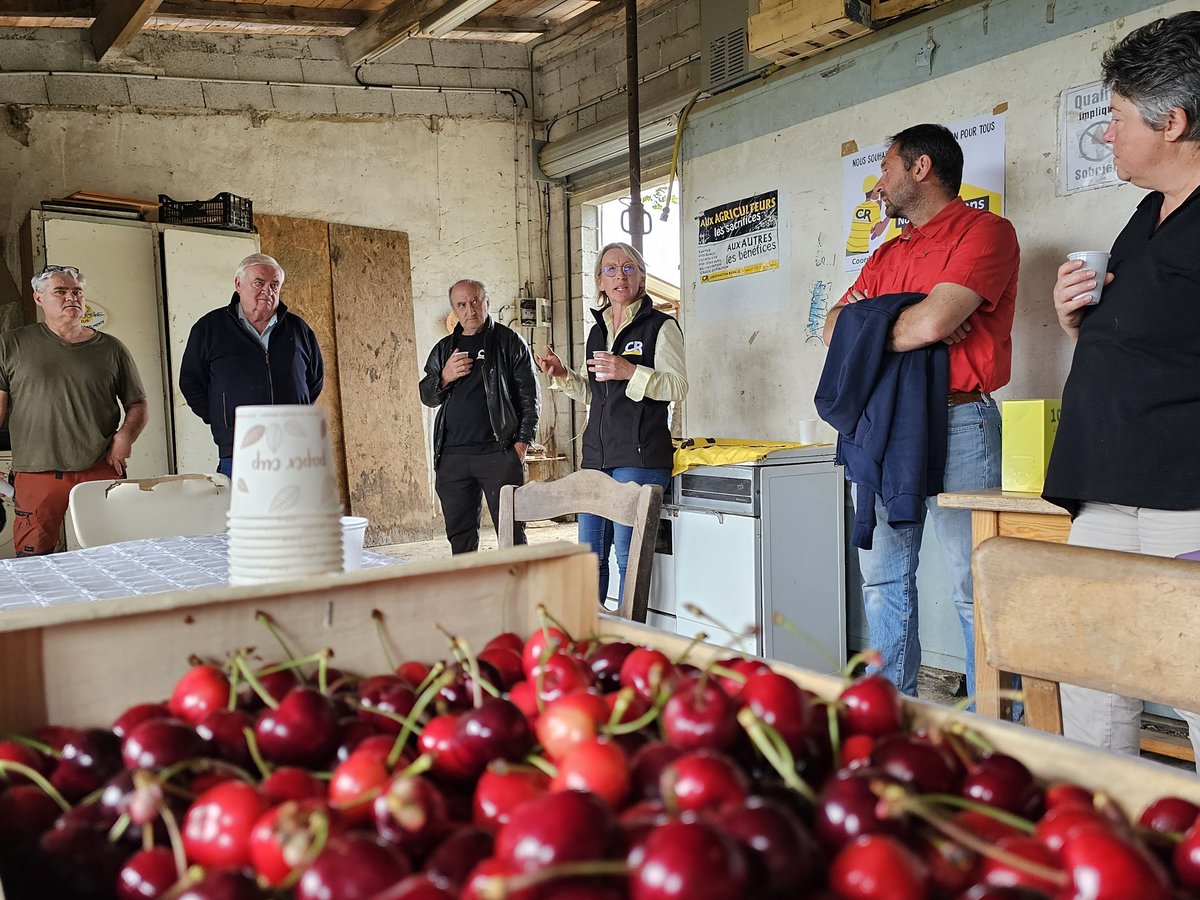 Le saviez-vous? Le #TarnetGaronne est une terre d excellence pour les cerises, en pleine saison....
Dialogue entre la presidente @veroniquelefloch et des producteurs sur l'avenir des Filières face aux concurrences déloyales