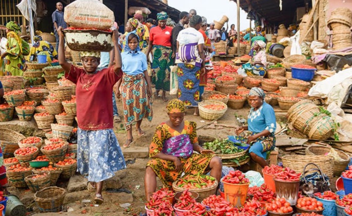 JUST IN: Seasonal fluctuations have pushed the  price of fresh tomato basket to N150,000 in Lagos

Source: Nairametrics
#EndNigeriaNowToSaveLives
#DissolutionNow
@SERAPNigeria @amnesty @QMN @AmnestyNigeria @amnestyusa @IntlCrimCourt @ECOWASParliamnt