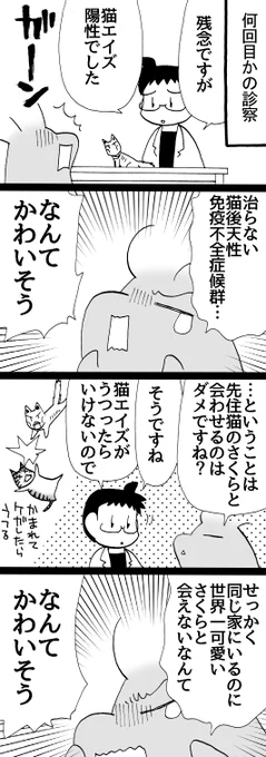 四コマ漫画「拾い猫ラッキー9」

噛まれなきゃ大丈夫だそうですが、先住猫のさくらと拾い猫ラッキーは生活する場所を分けています。

#猫 #四コマ漫画 #御かぞくさま御いっこう 