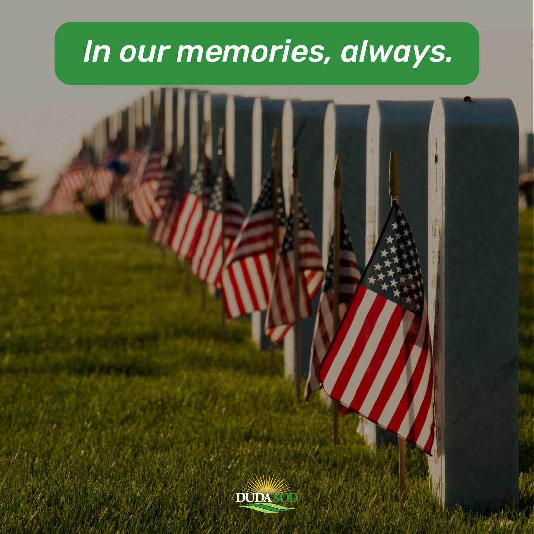 dudasod's tweet photo. This Memorial Day, we pause to remember and honor the brave men and women who made the ultimate sacrifice for our country. Their courage and dedication will never be forgotten. https://t.co/mCImL6IN8W