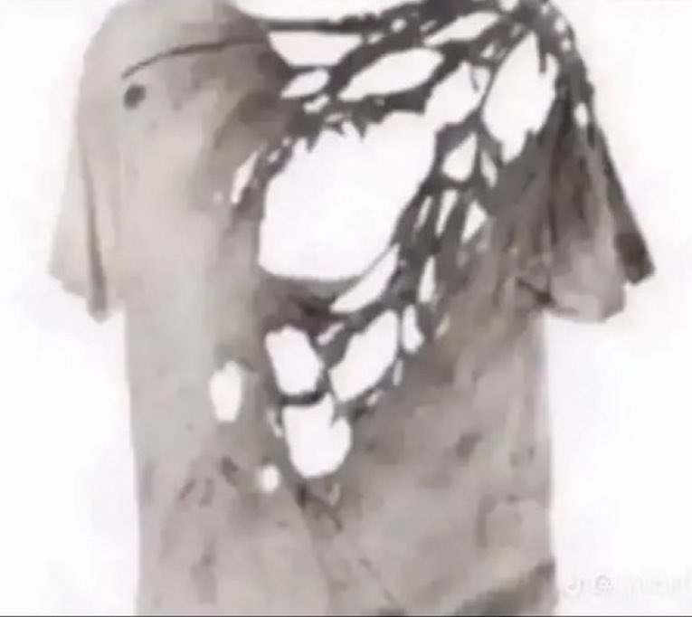 mfs will buy a shirt that look like this and call it “fashion” because the Rick Ownes logo on it