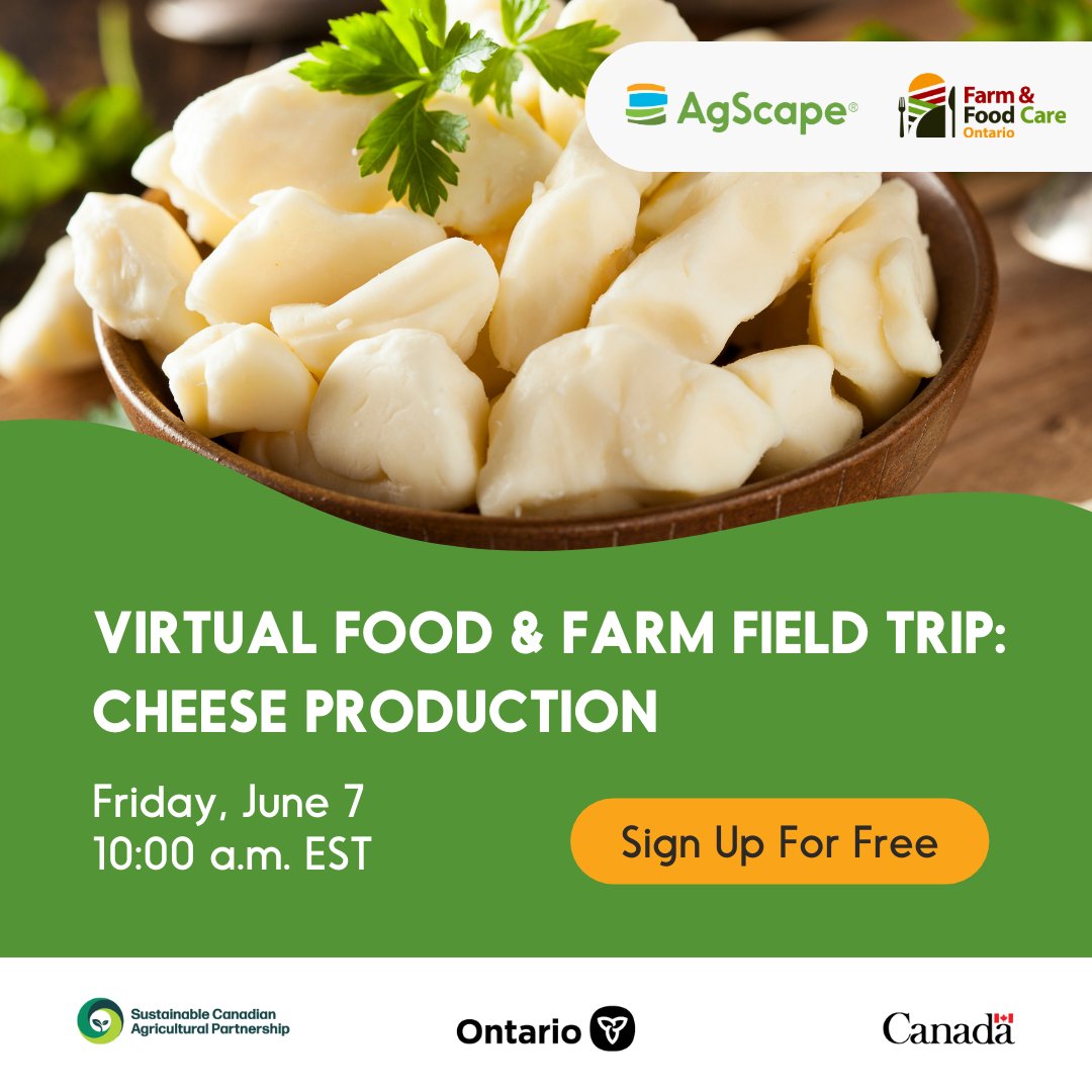 Calling all K-8 teachers in Ontario! On Friday, June 7, at 10:00 a.m. EST, celebrate Local Food Week 2024 and take your K-8 students on a free Virtual Food & Farm Field Trip to learn about the exciting world of cheese production. You and your students will have the opportunity
