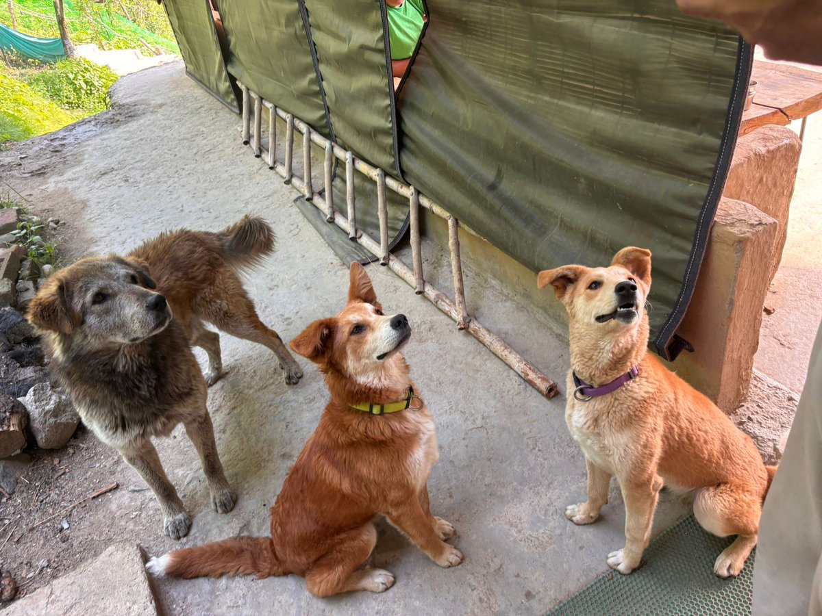 Rakesh The DEBUR tweet media