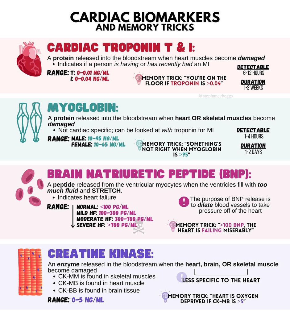 Cardiac enzymes and protein markers
#Cardiac_Biomarkers

@walinjom 
@ManualOMedicine 

#MEDHM 
#MedX 
@IhabFathiSulima