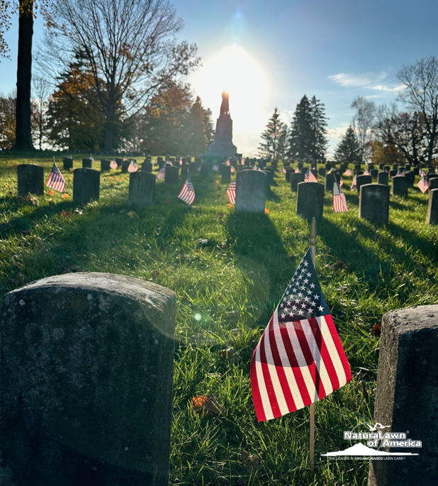 Today we express our gratitude to our fallen heroes. We will never forget our fallen heroes this Memorial Day. #NaturaLawn #NaturaLawnofAmerica #NLA #IndustryLeader #LawnCare #MemorialDay