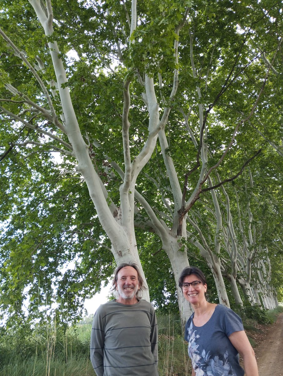 📝 Hem visitat en Juan Bertrand i la Montserrat Mayoral a #TorreRibera (Segrià), acabats d'incorporar a la #FenoCat🌸, que duen a terme el monitoratge de 9 plantes (entre elles, l'ametller, el blat, l'ordi i l'olivarda), 5 ocells (com l'abellerol o l'oriol ) i 1 papallona.