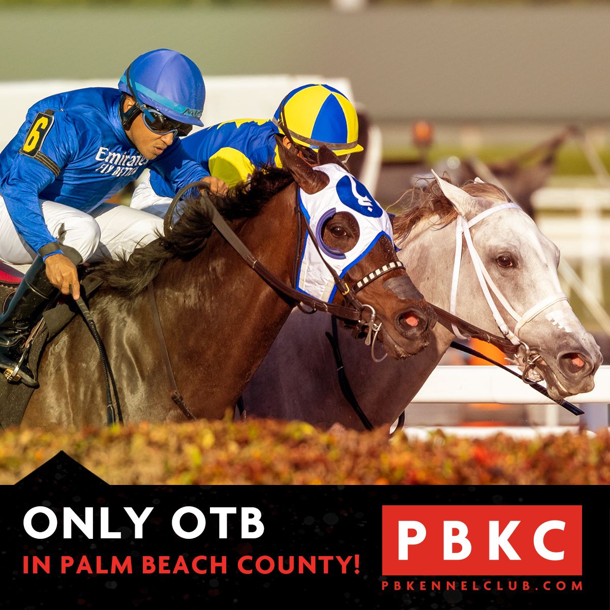 PBKC is the only OTB in Palm Beach County! Come play all the biggest races from all the best tracks! The Paddock Restaurant is the best place to play! #otb #horseracing #simulcast #bet #kentuckyderby #westpalmbeach