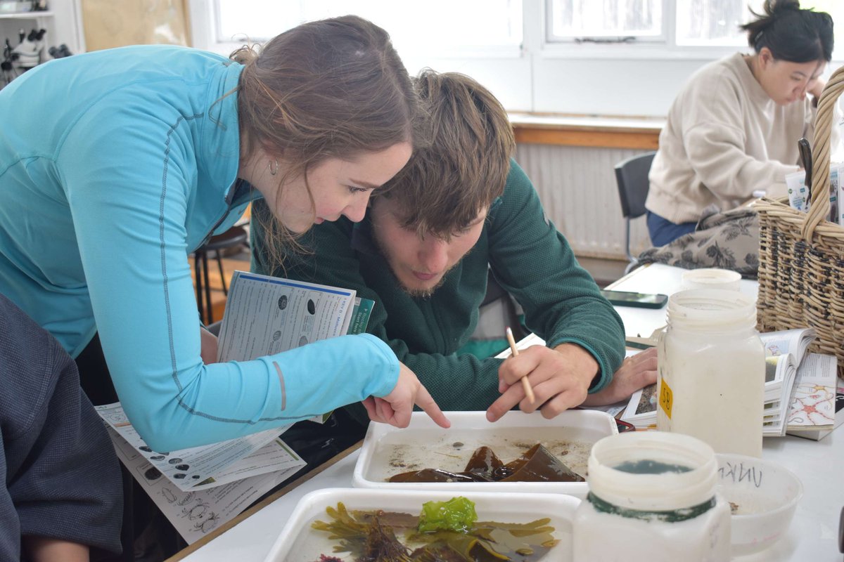 Last week to apply for our Young Darwin Scholarship! ⏰🍃 If you’re aged 16-25, you could be joining us for an immersive week in the outdoors on a 90% subsidised scholarship. Get your application in before 9pm on the 2nd of June ow.ly/mQsx50RWqX0