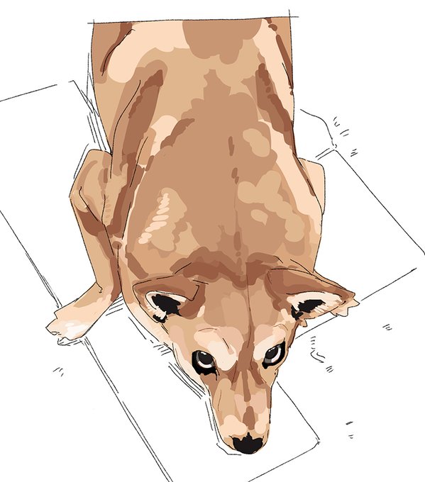 「black eyes shiba inu」 illustration images(Latest)