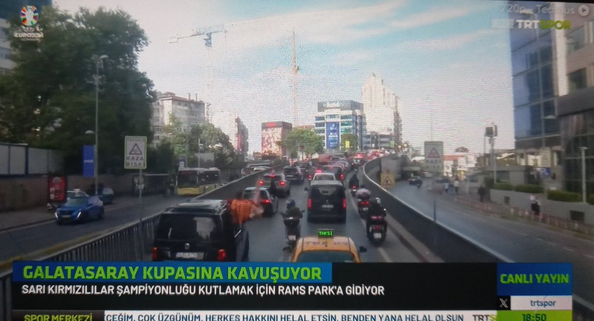 Şampiyonluk kutlamasında trtspor'un kullandığı renkler