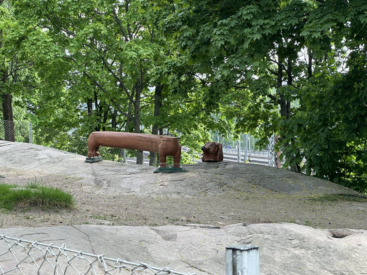 whydoilivenorth's tweet photo. @HelsinkiKymp at tokoinranta dog park… poor doggo lost its head, it needs help https://t.co/SUe3sUVgUS
