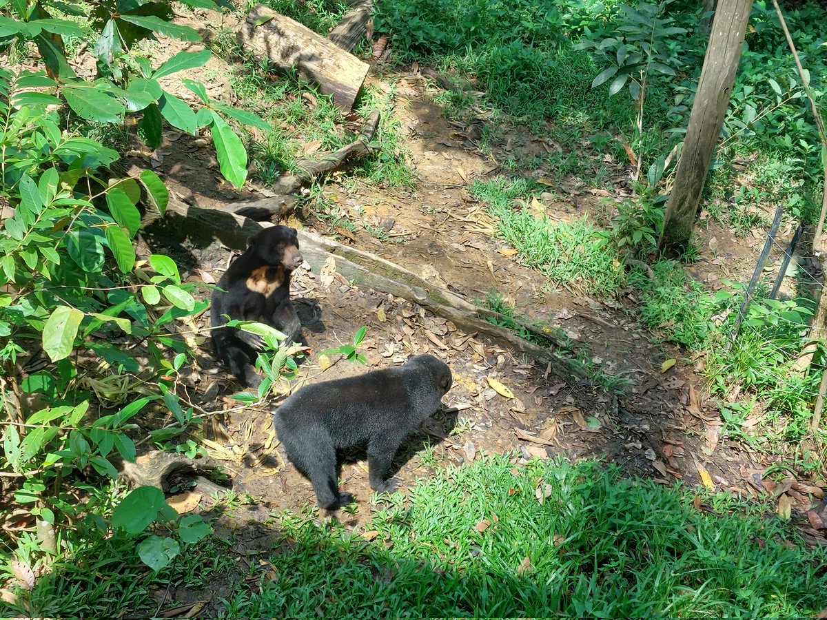 Kate Couzens tweet media