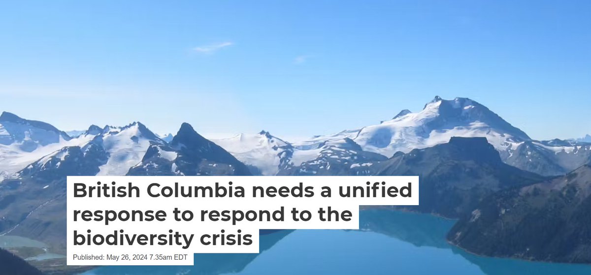 🍁🍃George Poulakidas, Genomics + Society Advisor, is one of the authors of a recent article published in @ConversationCA, 'British Columbia needs a unified response to respond to the biodiversity crisis.' Read the full article here: theconversation.com/british-columb… #Biodiversity