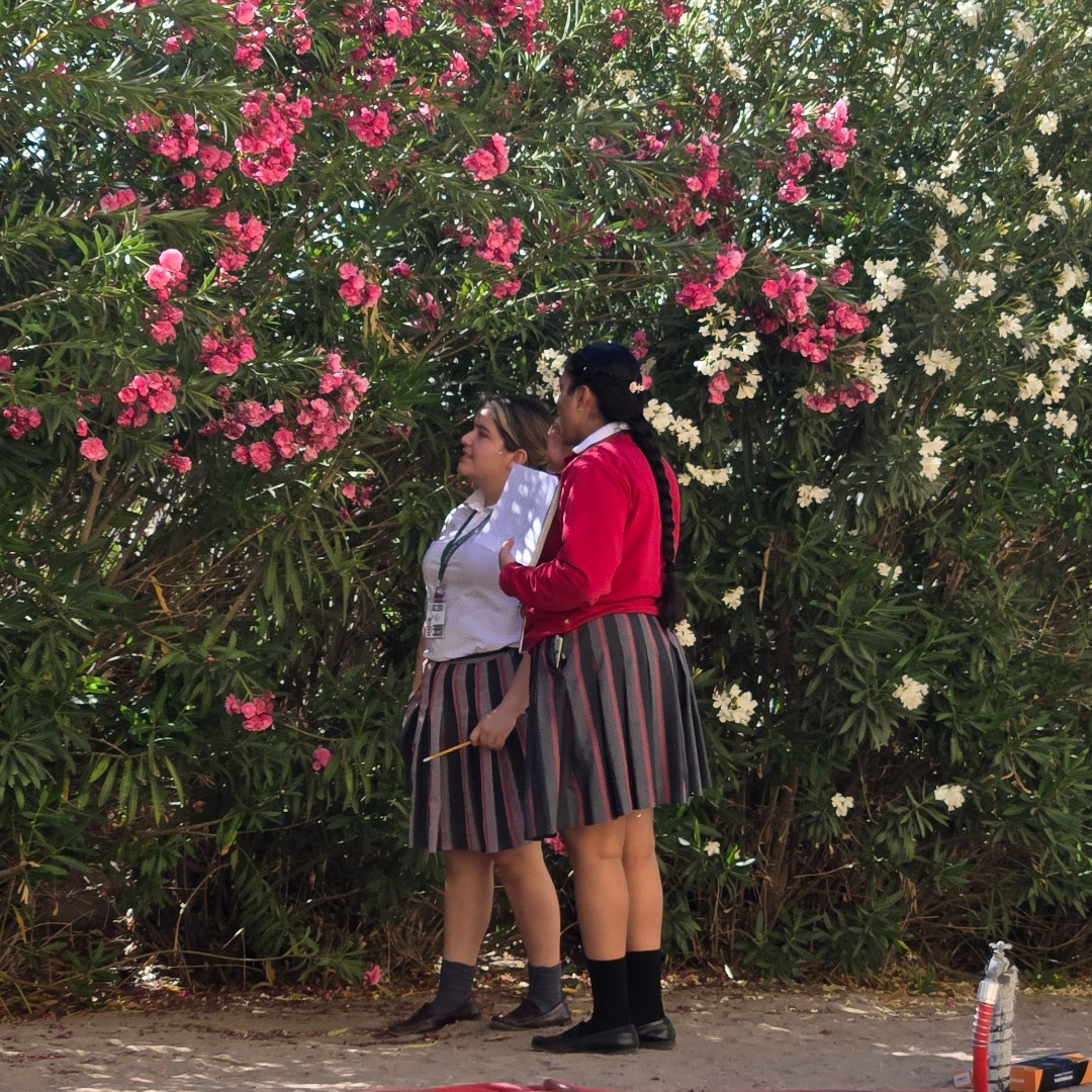 Insights El Paso (@insightselpaso) on Twitter photo Shoutout to the students from Mr. Nieto and Mrs. Pasaret's class at <a href="/LorettoAcademy/">Loretto Academy</a>! Along with the restoration efforts they created a pollinator haven. Thank you for your hard work!
#InsightsEnvironmentalEducation #NOAAPlanetStewards
@ep_fronteralandalliance @NOAAEducation Shoutout to the students from Mr. Nieto and Mrs. Pasaret's class at <a href="/LorettoAcademy/">Loretto Academy</a>! Along with the restoration efforts they created a pollinator haven. Thank you for your hard work!
#InsightsEnvironmentalEducation #NOAAPlanetStewards
@ep_fronteralandalliance @NOAAEducation